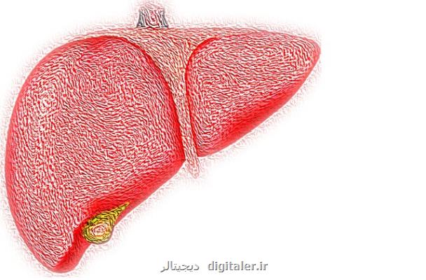 پیش بینی مرگ ومیر مبتلایان به نارسایی مزمن کبد با کمک یک ابزار آنلاین