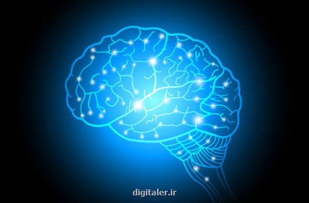 شیر دادن به نوزاد می تواند به بهبود عملکرد شناختی مادر کمک نماید