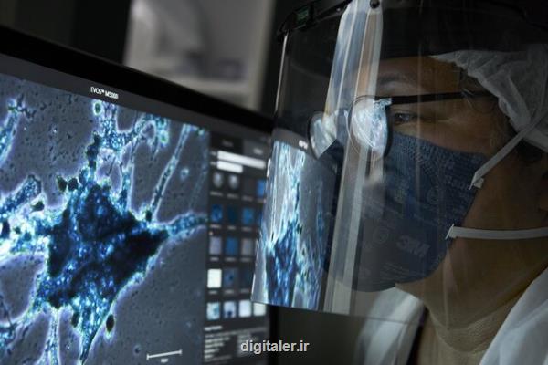 کاوش درباره بیماریهای خطرناک جهان