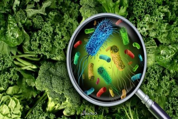 سنسور قابل حمل با قابلیت شناسایی غذای آلوده