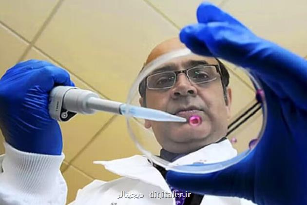 امید به توسعه درمان های نوین به پشت گرمی سلول های بنیادی