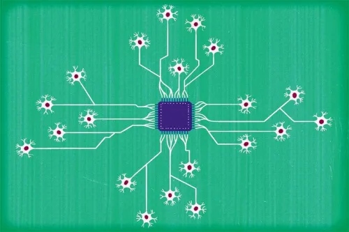 از کامپیوتر هایی که با سلول های مغز انسان کار می کنند، چه می دانید؟
