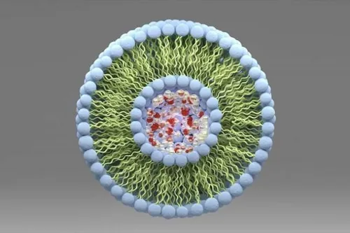 استانداردسازی فناوری نانو در حوزه نانولیپوزوم ها و ارزیابی ایمنی نانومواد