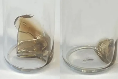 دانشمندان پلاستیک خودتخریب شونده ساختند