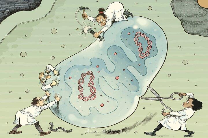 میتوکندری تنها سنگر تسخیرنشده در دنیای ویرایش ژن