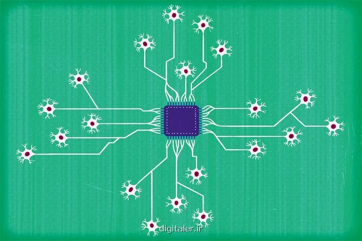 از کامپیوتر هایی که با سلول های مغز انسان کار می کنند، چه می دانید؟