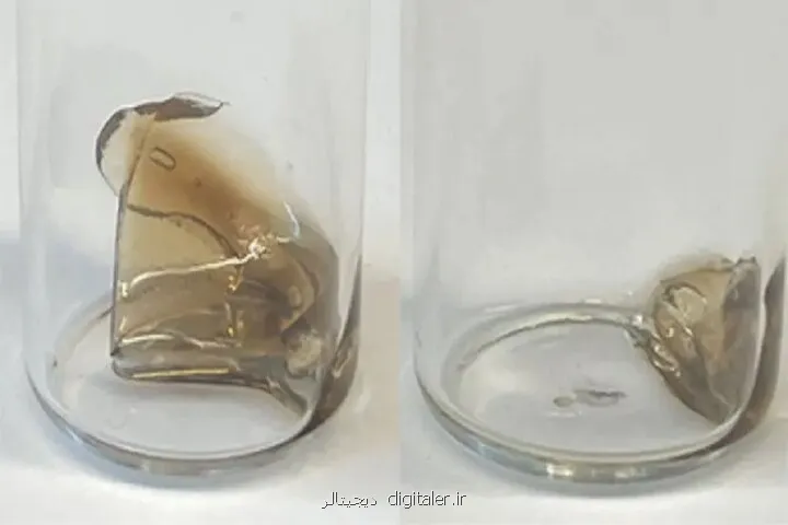 دانشمندان پلاستیک خودتخریب شونده ساختند