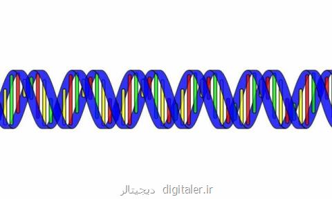 ساعت زیستی بدن میزان مبتلاشدن به بیماری های روحی را تعیین می كند