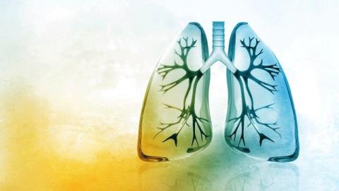 استراحت عضله مجرای تنفسی راهی برای درمان آسم