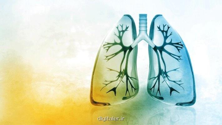 استراحت عضله مجرای تنفسی راهی برای درمان آسم